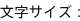 文字サイズ